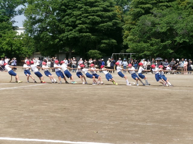 ５，６年生　走れ！つな引け！