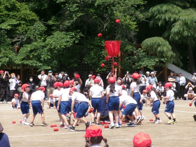 １，２年生チェッコリ玉入れ