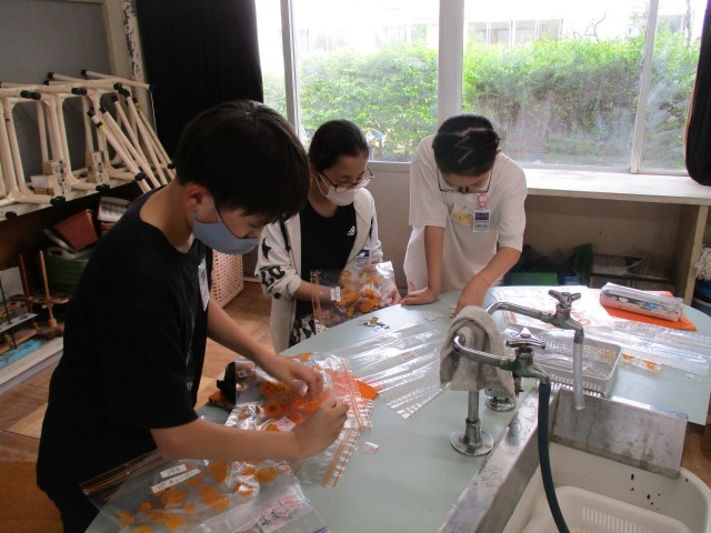 リサイクル委員会の活動の様子