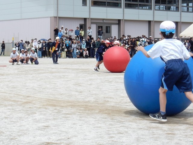 大玉転がしの様子２